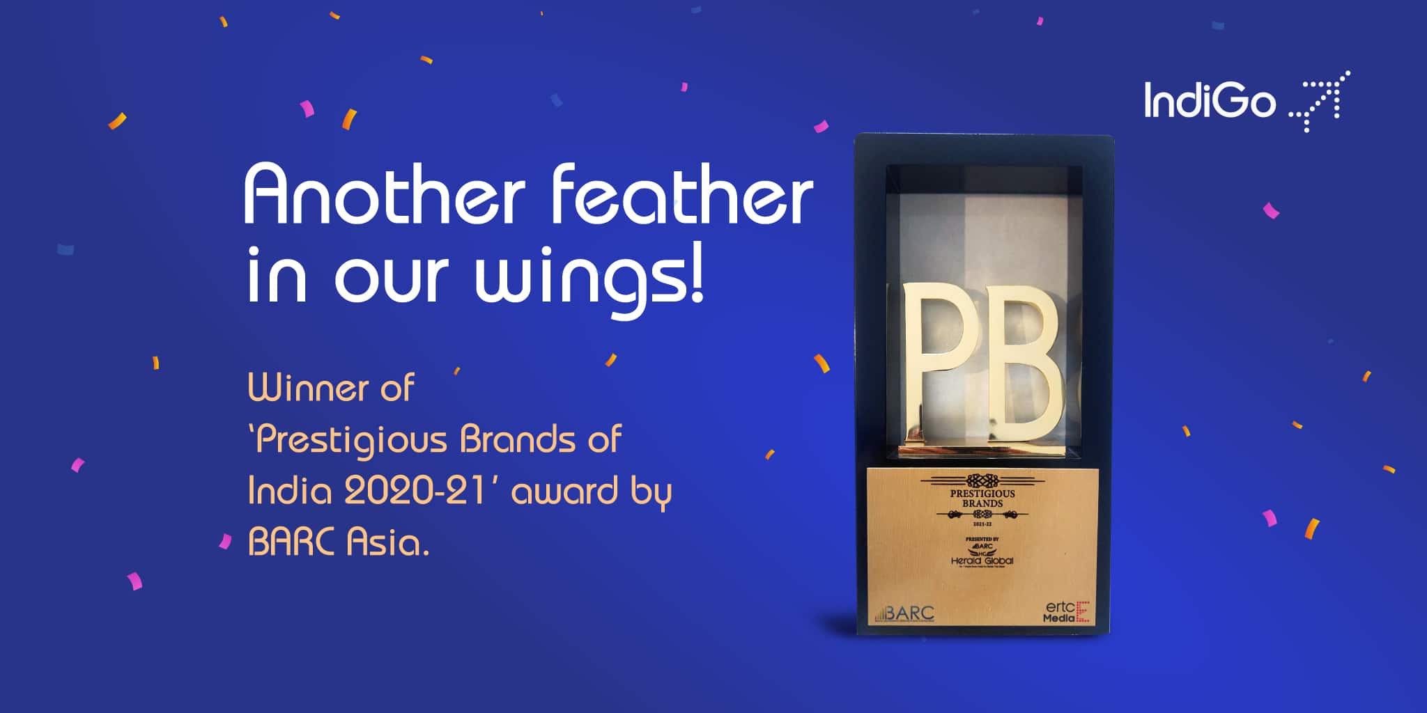 StevieAwards-AwardPage-Thumbnail