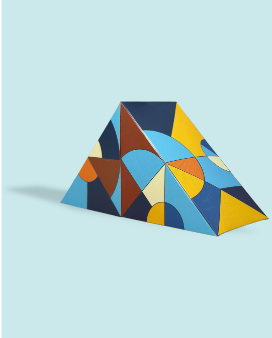 6E Eats choice of the day (non-veg) + beverage