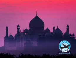 Flights from Agra