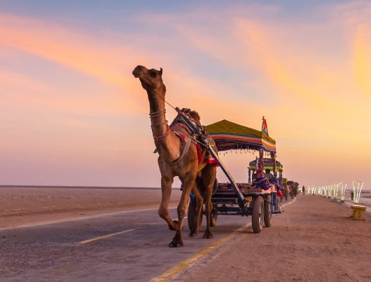 How to plan a trip to Kutch’s Rann Utsav this year