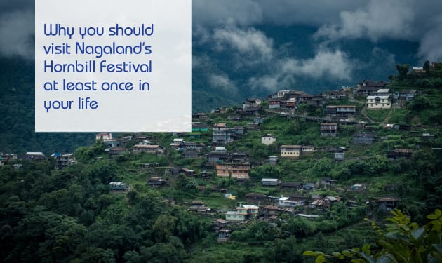 Why you must visit the Hornbill Festival to experience Nagaland culturally