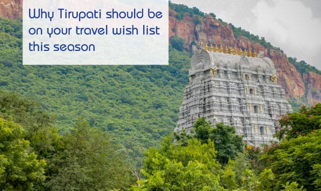 Here’s why you should travel to the underrated city of Tirupati this season