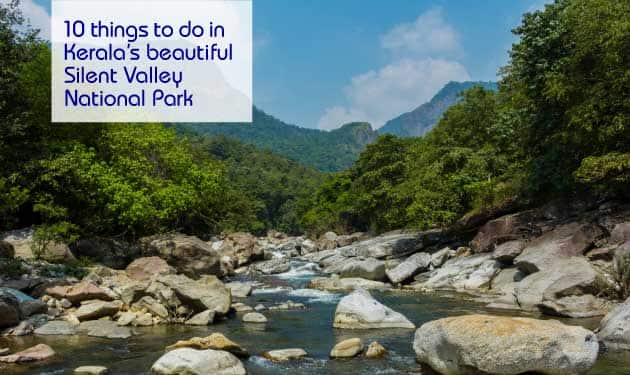 10 things to do in Kerala’s beautiful Silent Valley National Park