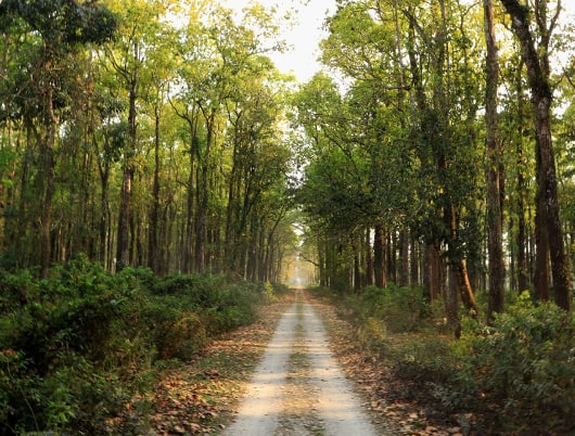 10 reasons why Bagdogra makes for the perfect December holiday