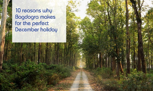 10 reasons why Bagdogra makes for the perfect December holiday