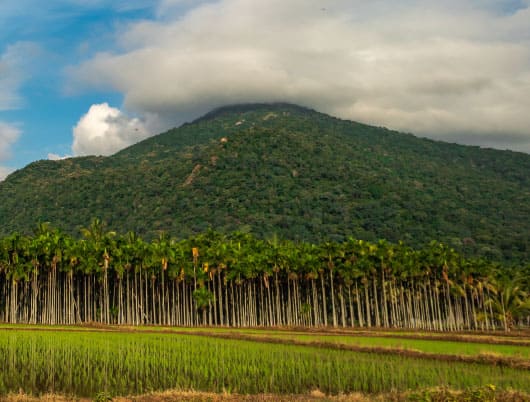 Pack your bags and travel to this lively city in South India - Coimbatore, Manchester of South India
