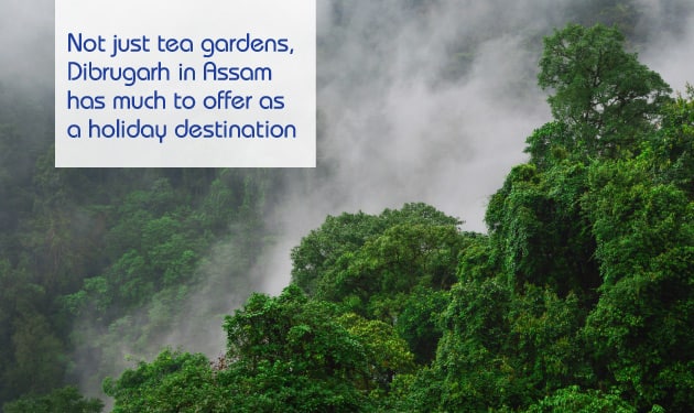 Not just tea gardens, Dibrugarh in Assam has much to offer as a holiday destination