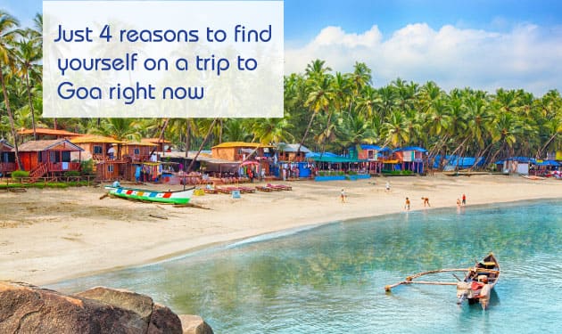 Top four reasons to discover Goa - a perfect destination for beach lovers