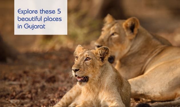 5 of the most beautiful must-visit places in Gujarat