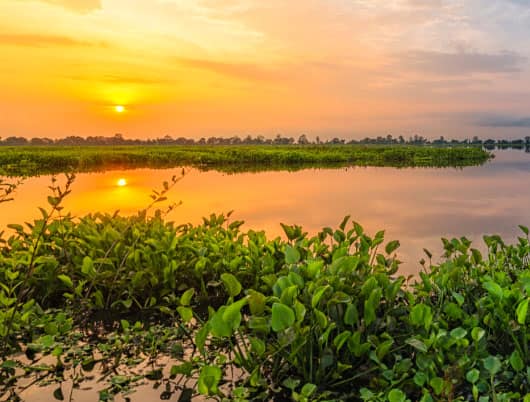 Everything to do when you travel to Jorhat, the cultural capital of Assam