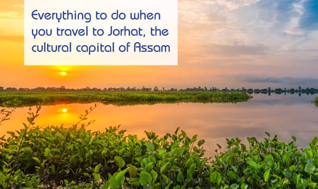 Everything to do when you travel to Jorhat, the cultural capital of Assam