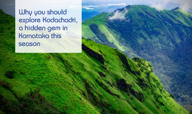 Why you should explore Kodachadri, a hidden gem in Karnataka this season