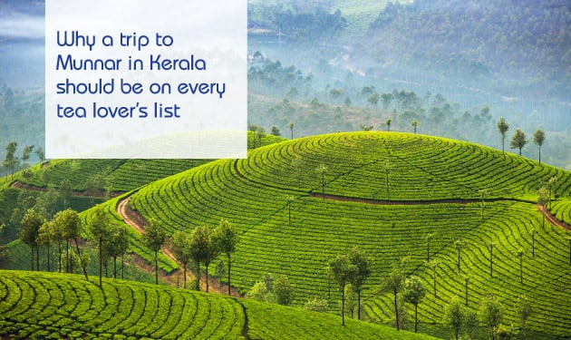 Why Munnar in Kerala should be on every tea lover’s travel wish list