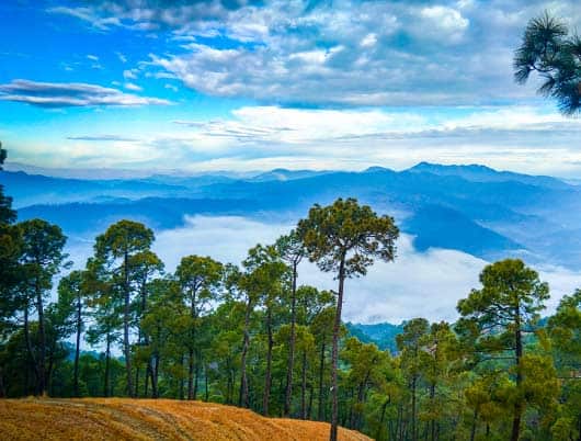 Everything to do when you visit Ranikhet in Uttarakhand