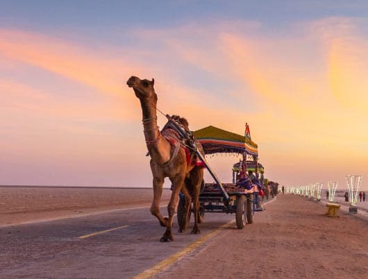 Runn-of-Kutch-Thumbnail