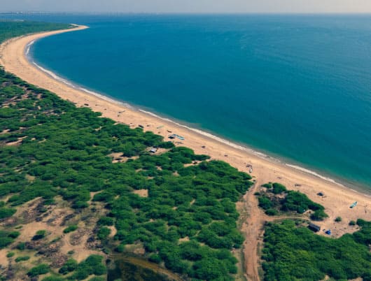 These seven reasons are enough to entice you for a trip to Tuticorin, Pearl City