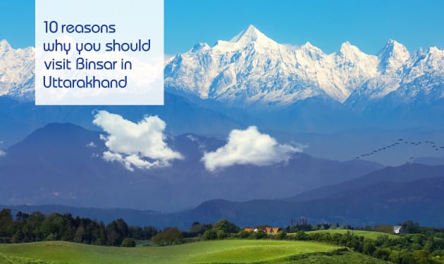 10 reasons why you should visit Binsar in Uttarakhand