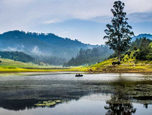 Offbeat things to do when in an enchanting destination of Kodaikanal