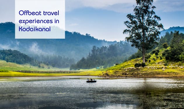 Offbeat things to do when in an enchanting destination of Kodaikanal