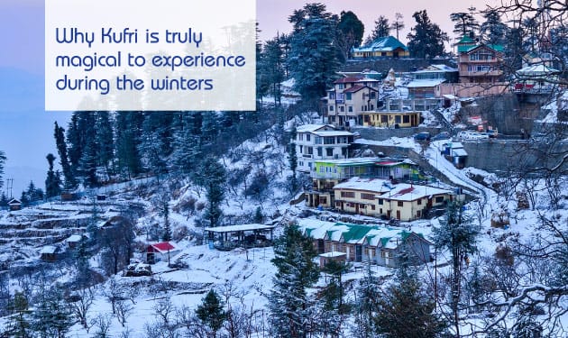 Why Kufri is truly magical to experience during the winters