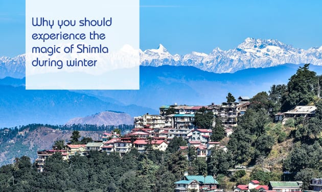 Why you should experience the magic of shimla during winter