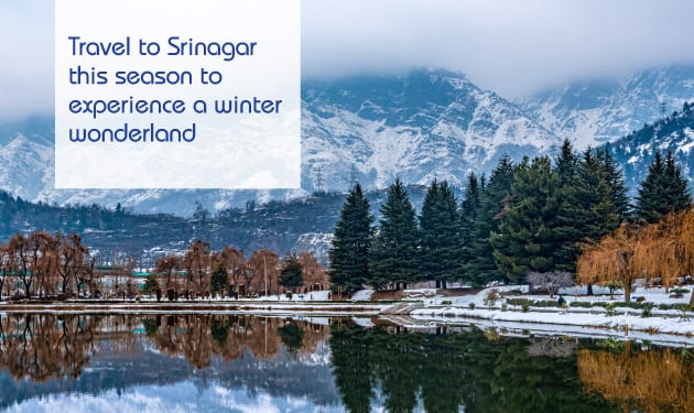 Travel to Srinagar this season to experience a winter wonderland