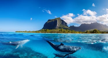 Flights from Mauritius