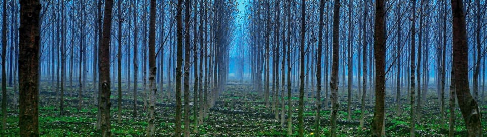 Flights to Pantnagar