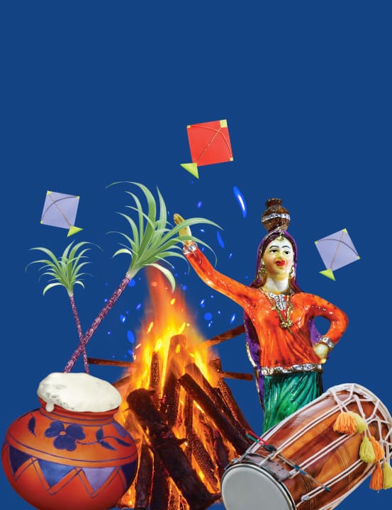 HarvestSeason-IndiaByIndiGo-Page