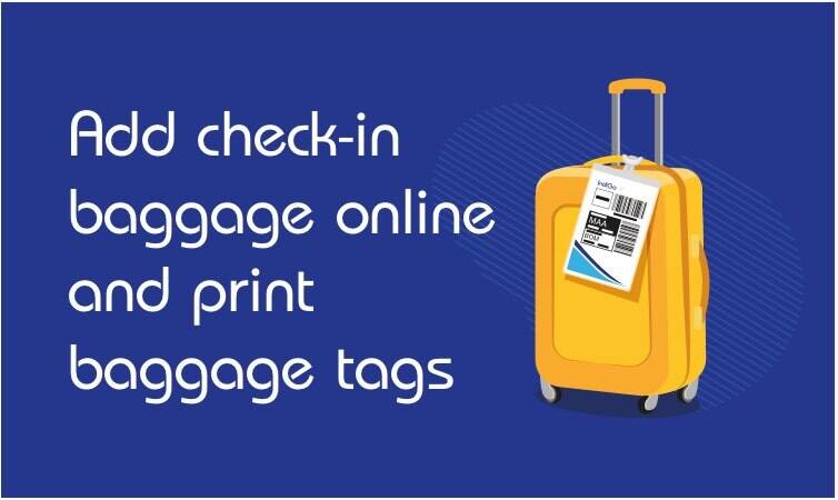 american airlines baggage weight