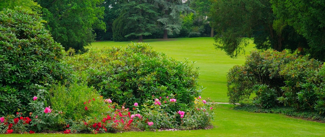 Lata Mangeshkar Musical Garden