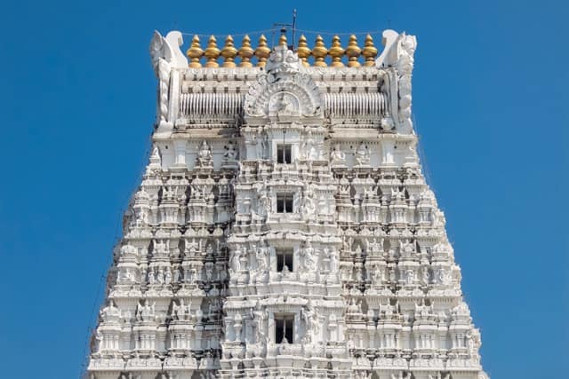 Sri Govindaraja Swamy Temple