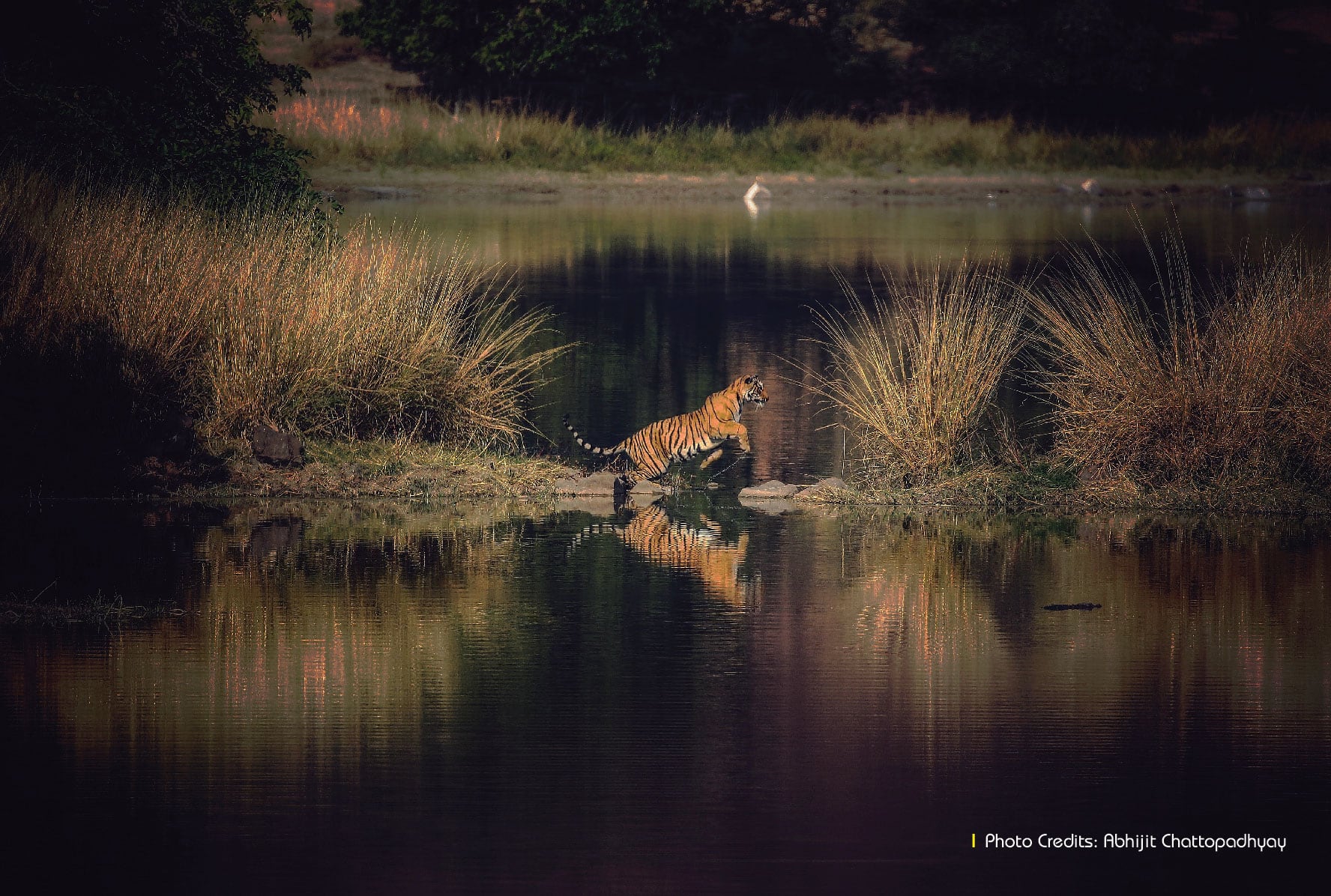 Wildlife sanctuaries