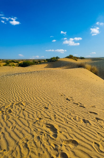 Thar desert tour