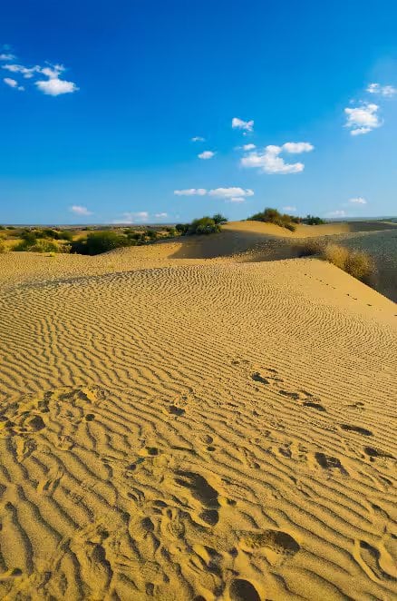 Thar desert tour