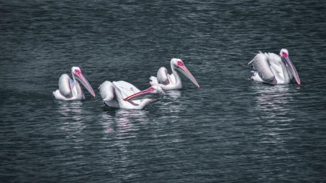 Pradyuman Zoological Park
