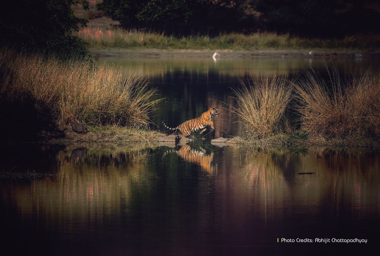 Wildlife sanctuaries