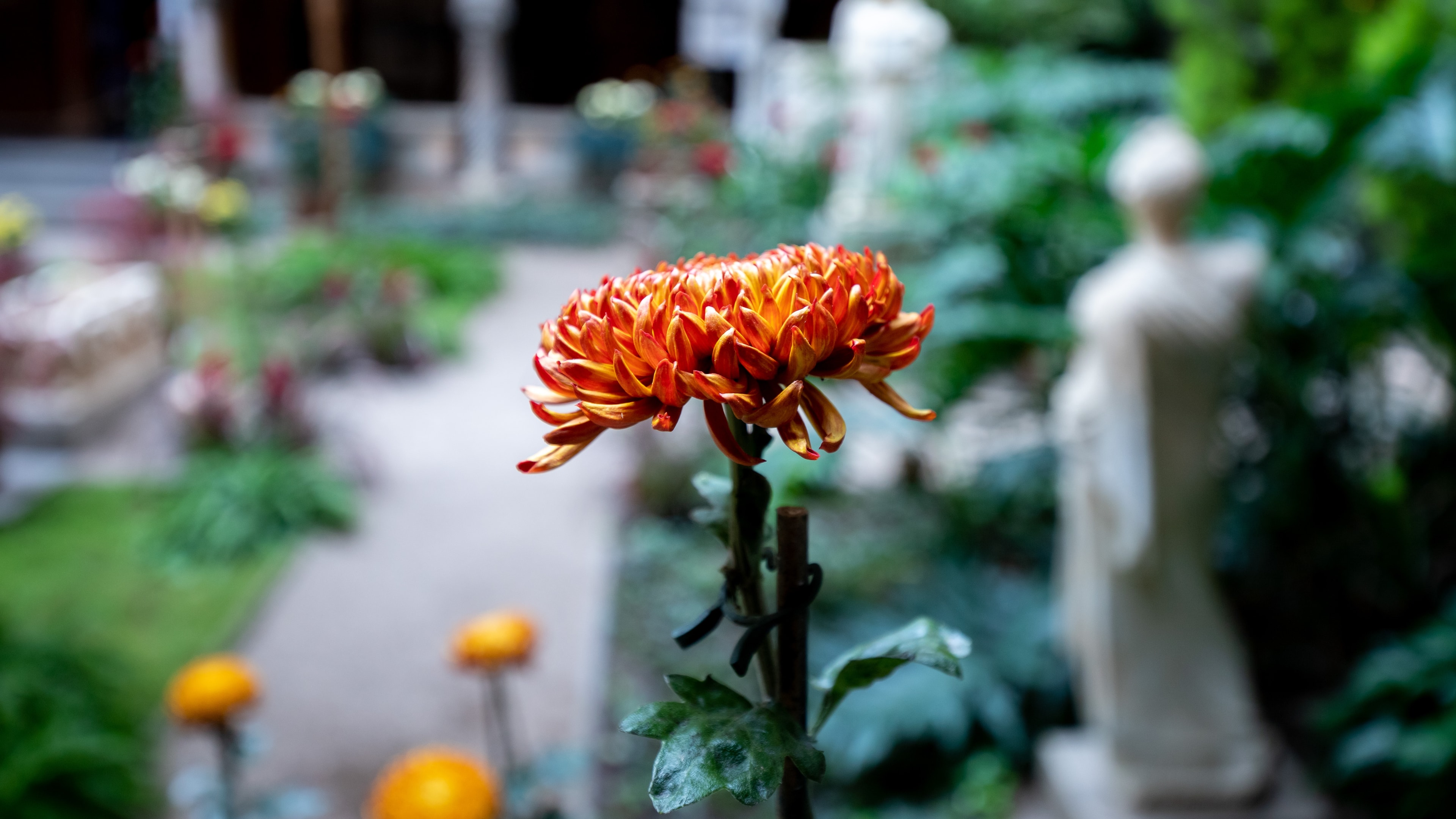 Isabella Stewart Gardner Museum 