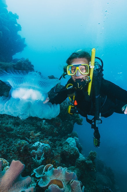 Snorkelling