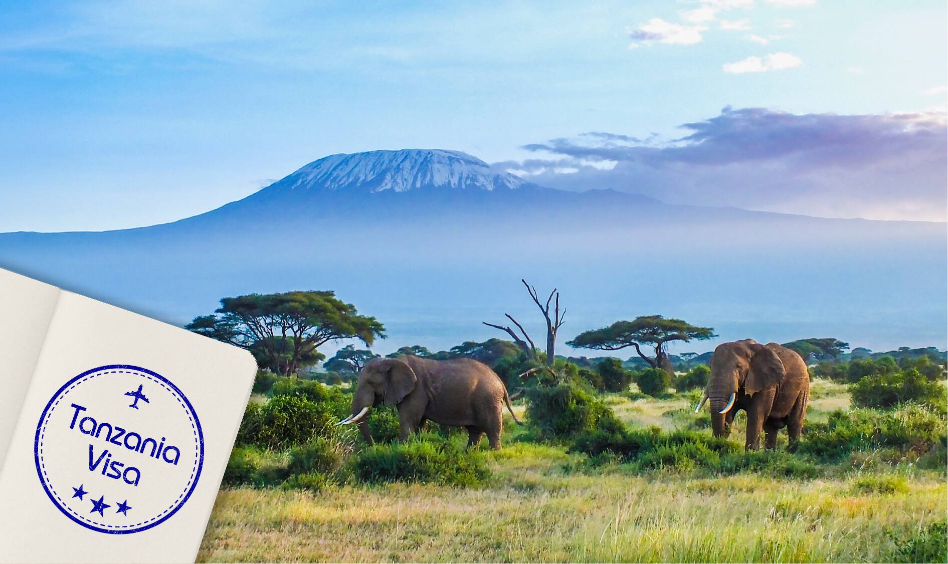 Tanzania visa
