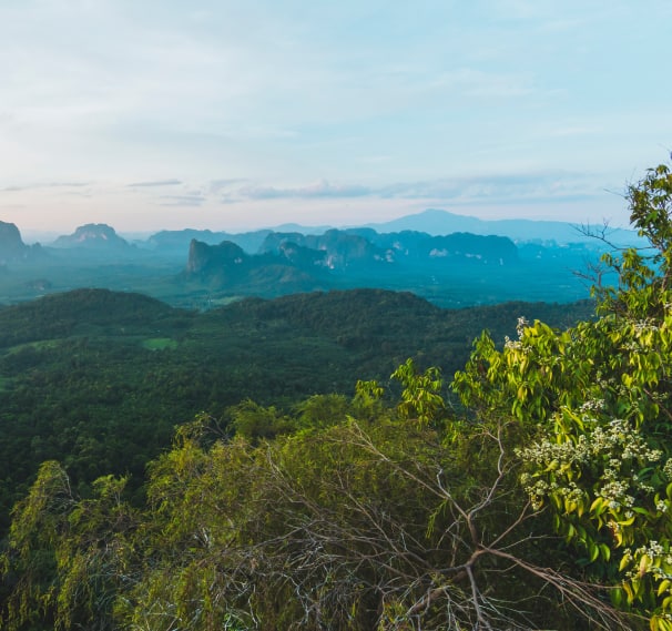 Tab Kak Hang Nak Nature Trail