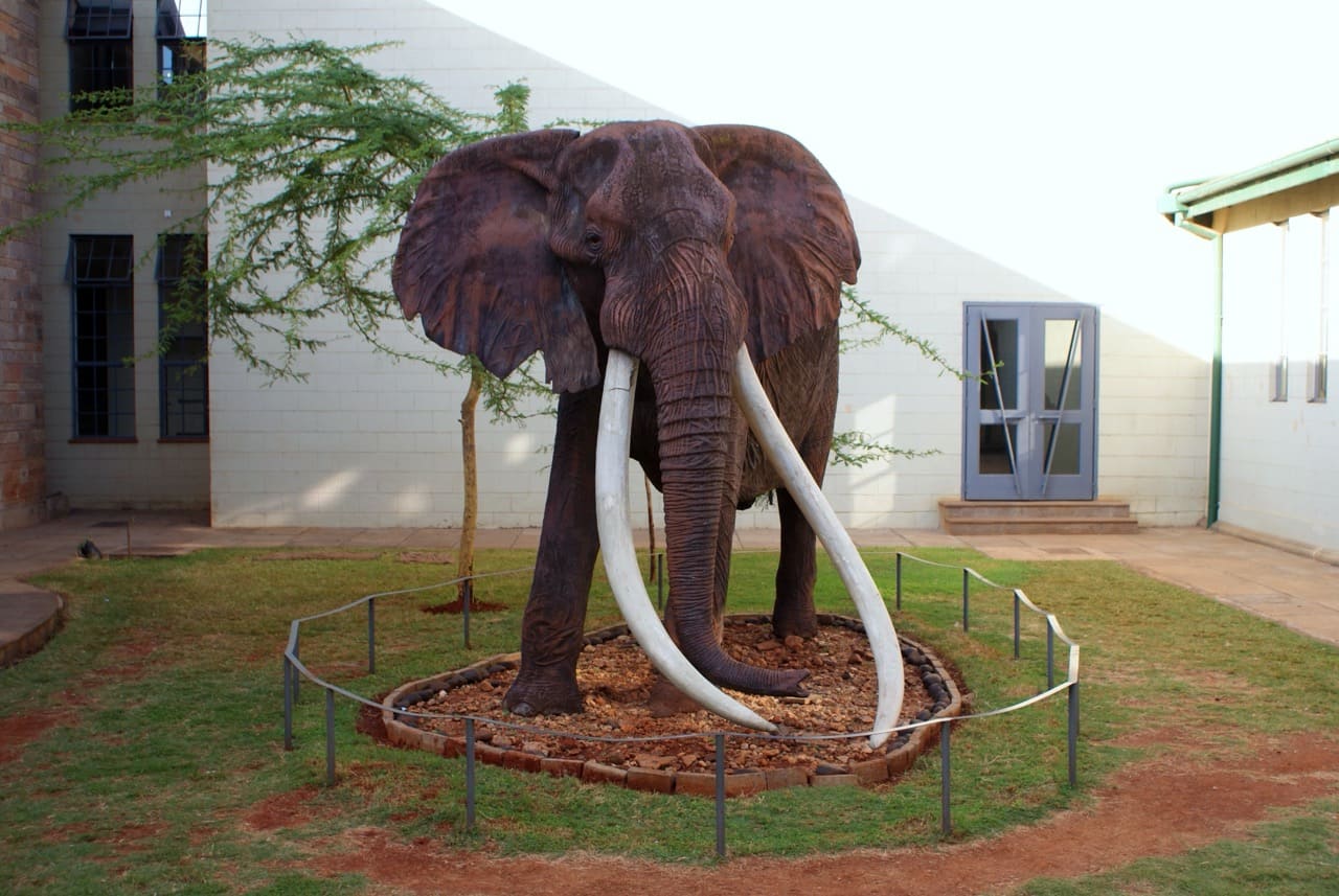 Nairobi National Museum
