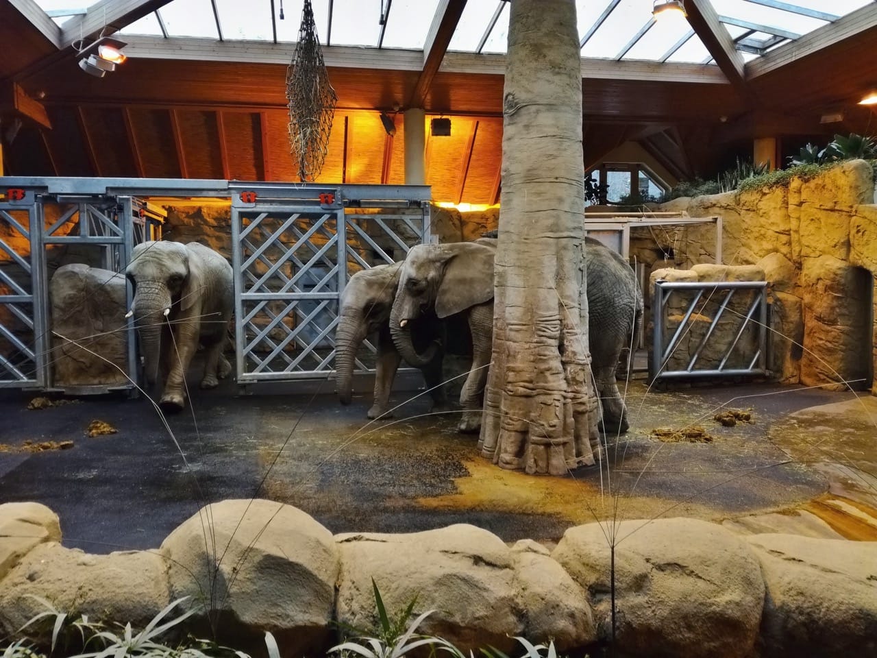 World of Discoveries