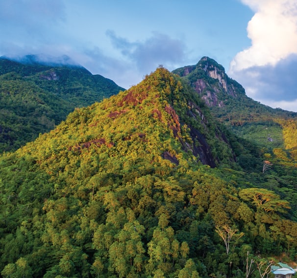 Morne Seychellois National Park