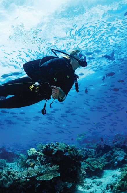 Snorkelling and hiking