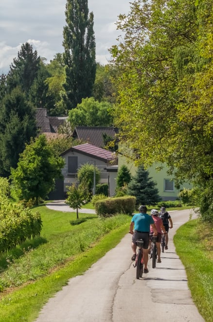 Cycle through the countryside