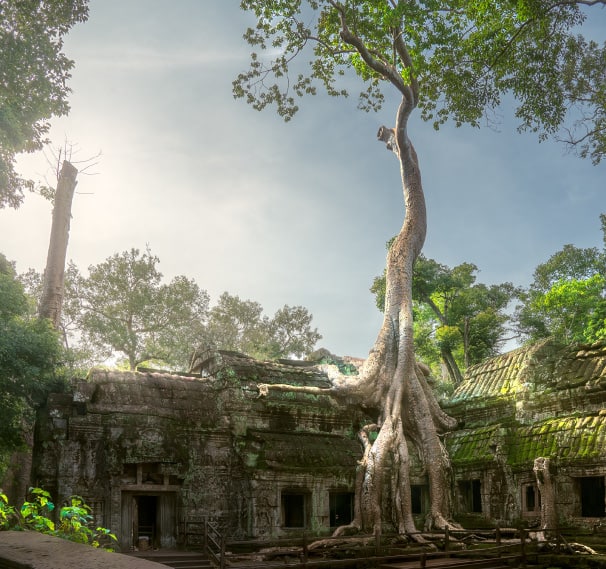 Ta Prohm