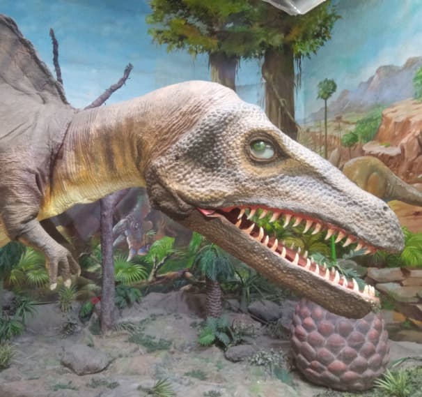 Pushpa Gujral Science City