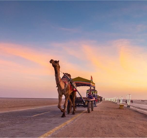 Kutch Desert Wildlife Sanctuary