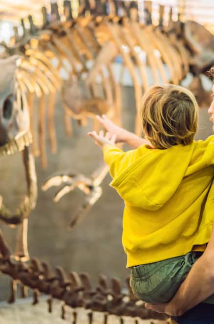 History at City Museum